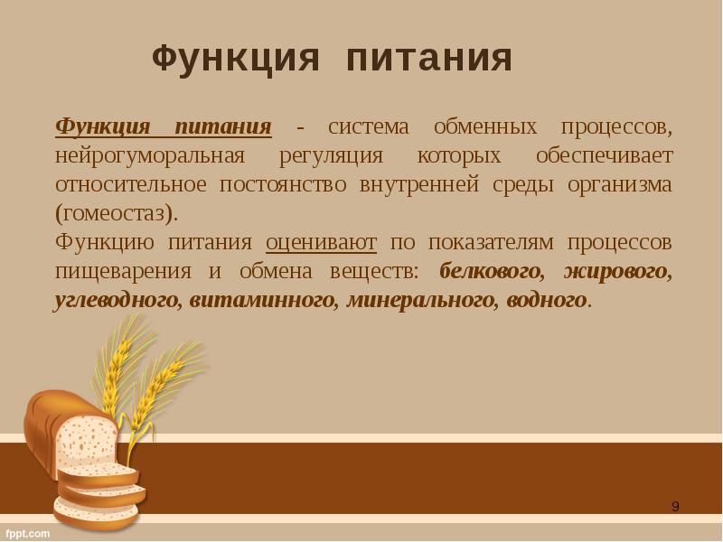 Функцию питания и роста. Технологии и методы оценки структуры питания и пищевого статуса. функции питания. функции пищи. пищевой статус организма.