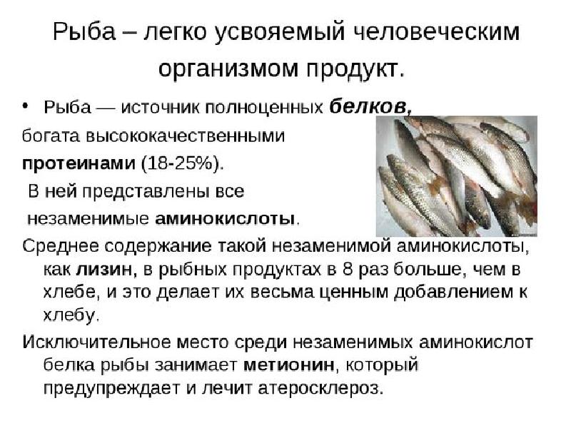 Классификация морепродуктов схема