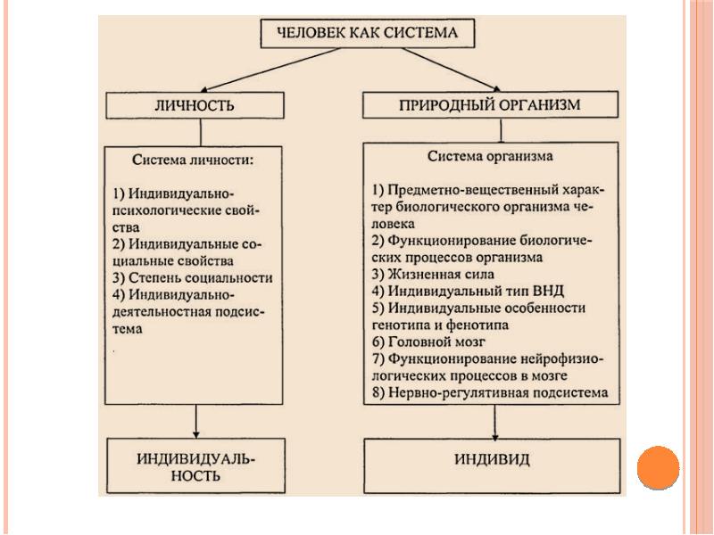 Доклад на тему языковая картина мира