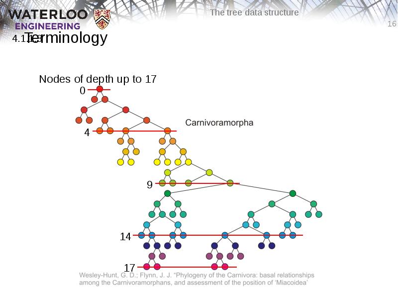 Terminology
Nodes of depth up to 17 Terminology
Nodes of depth up to 17