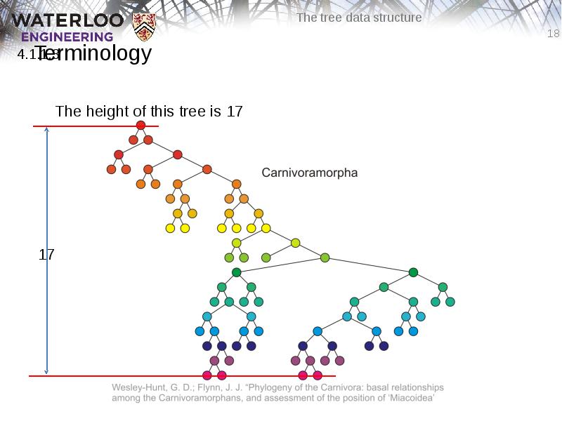 Terminology
The height of this tree is 17 Terminology
The height of this tree is 17