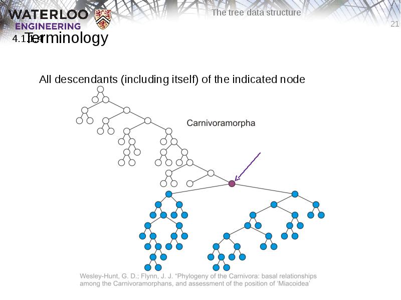 Terminology
All descendants (including itself) of the indicated node Terminology
All descendants (including itself) of the indicated node