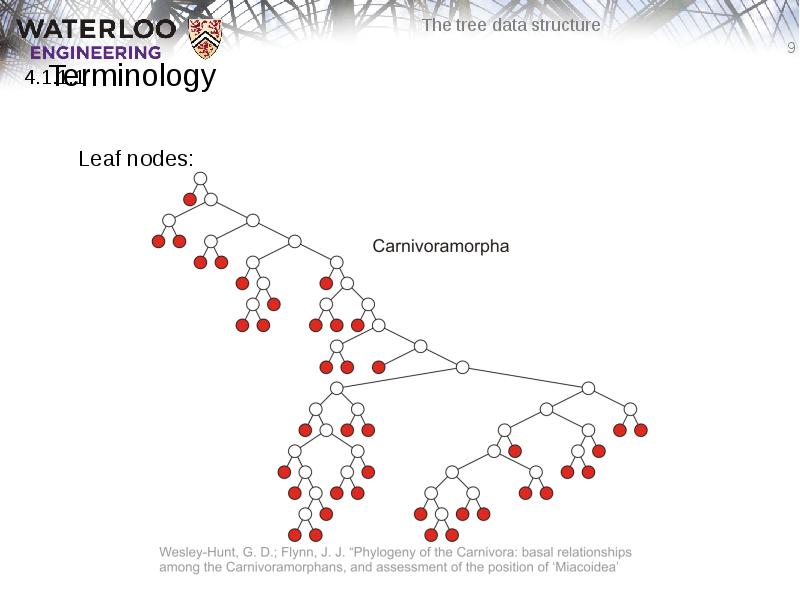 Terminology
Leaf nodes: Terminology
Leaf nodes: