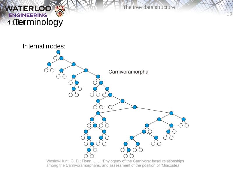 Terminology
Internal nodes: Terminology
Internal nodes: