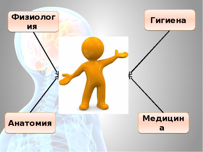 3 науки о человека