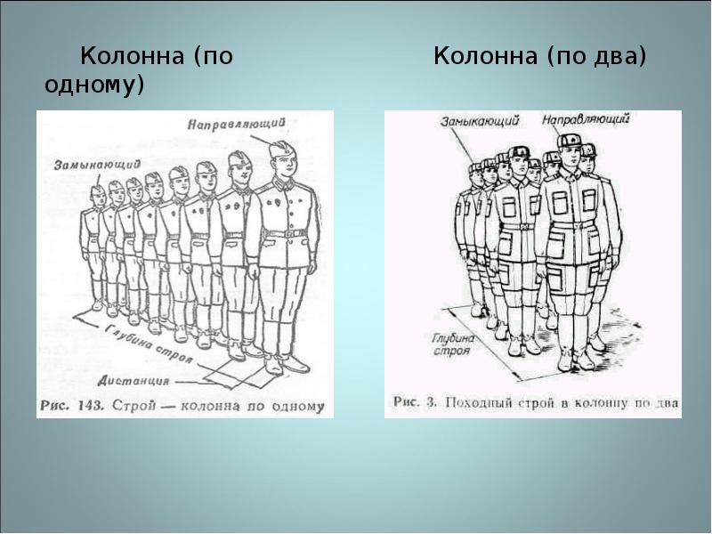 Колонна и шеренга рисунок