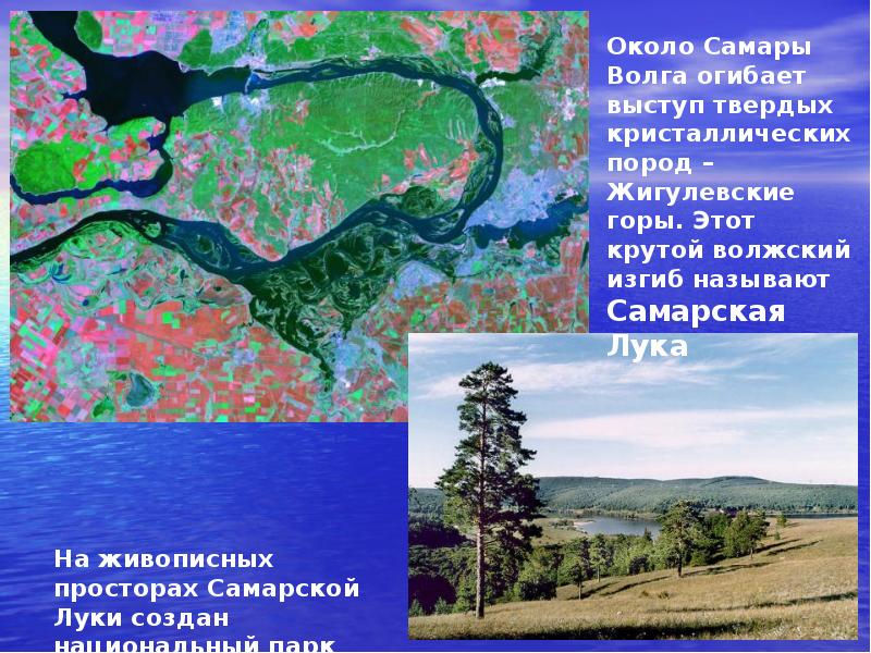 Самарская лука презентация