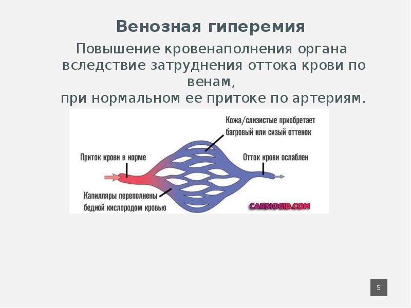 Артериальная гиперемия патофизиология презентация