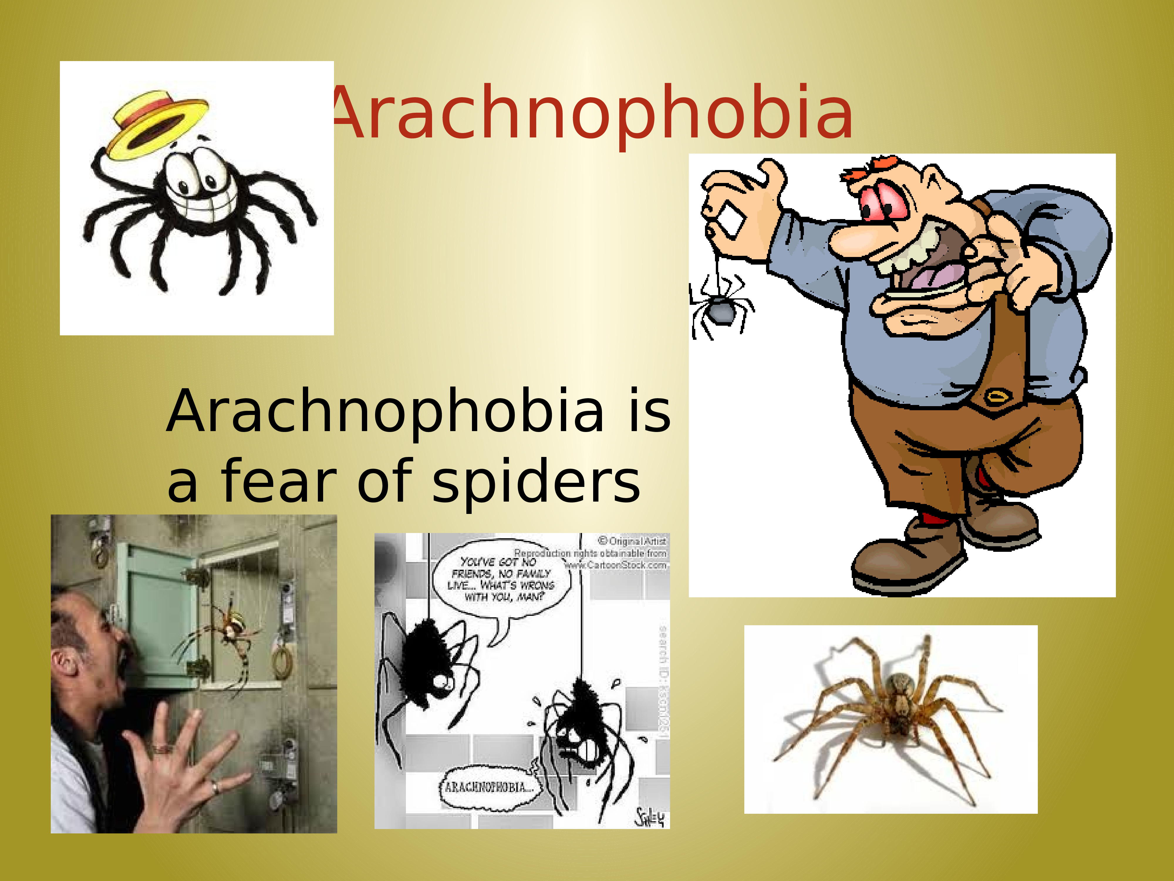 Kinds of phobias. Fears and Phobias презентация. Презентация на тему страх.