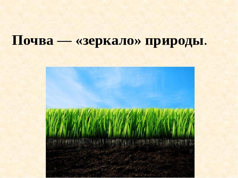 Презентация на тему почвы 6 класс по географии