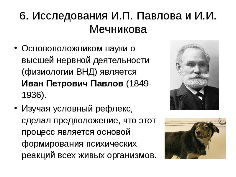 Основатель науки. Иван Павлов ВНД. Павлов Иван Петрович учение о высшей нервной деятельности. Павлов Иван Петрович рефлексы. Павлов Иван Петрович условный рефлекс.