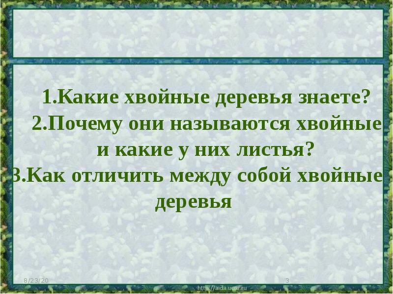 Анализ стихотворения у них дуба березы