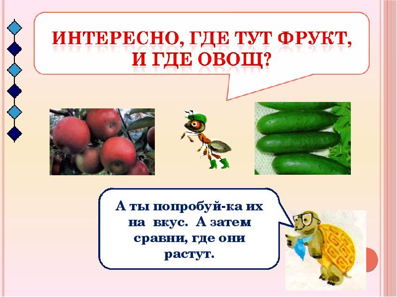 Класс овощей школа