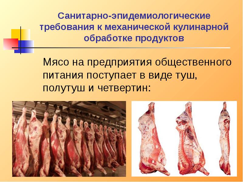 Поступивший вид. Размораживание мяса на предприятии. Санитарные требования к мясу. Мясо на предприятия питания поступает. Требование к кулинарной обработке мяса.