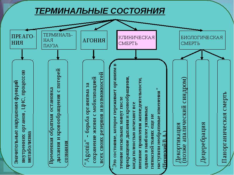 Терминальные состояния презентация