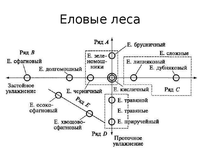 Эдафо фитоценотическая схема сукачева