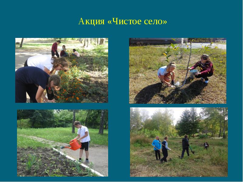 Сохранение природы проект