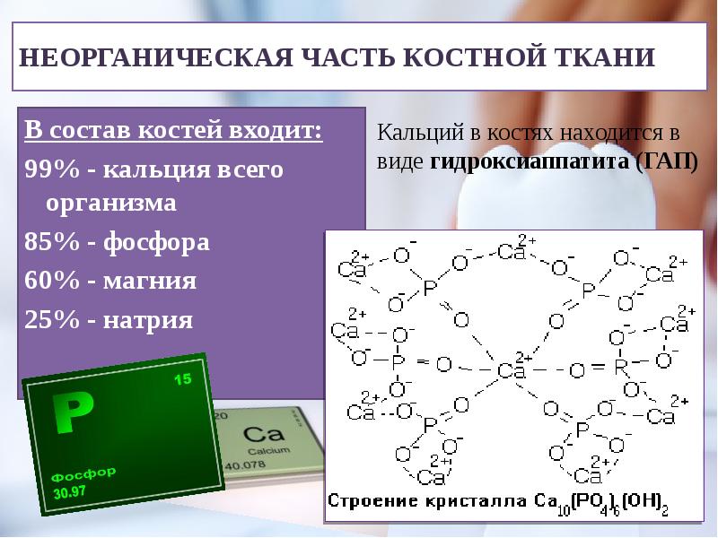 Биохимия костной ткани презентация