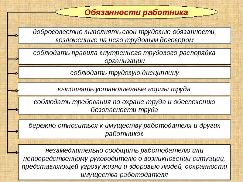 Трудовые правоотношения план