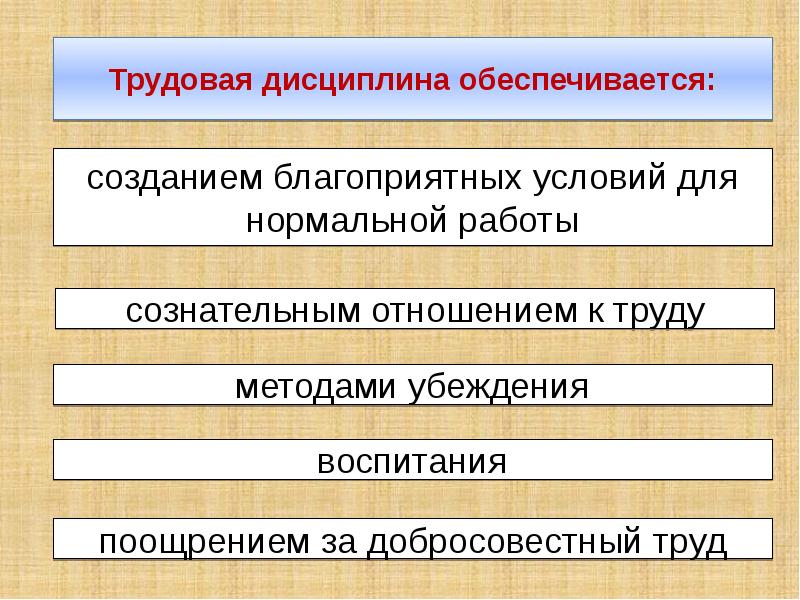 Презентация на тему право на труд трудовые правоотношения