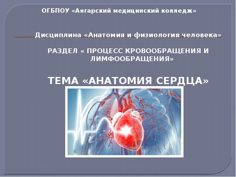 учебник анатомии для медицинских колледжей. физиология человека для медицинских колледжей. физиология человека для медицинских колледжей. федюкович николай иванович анатомия. анатомия и физиология человека.