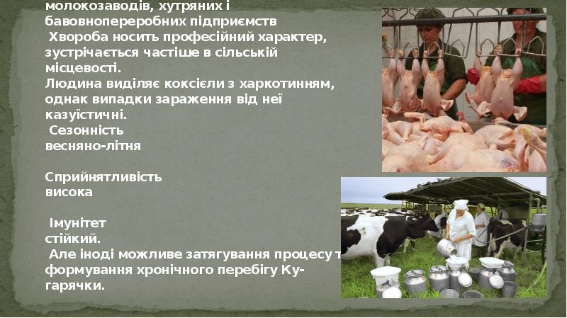 Основні групи ризику працівники тваринницьких і молочних ферм, м'ясопереробних підприємств, молокозаводів, хутряних Основні групи ризику працівники тваринницьких і молочних ферм, м'ясопереробних підприємств, молокозаводів, хутряних