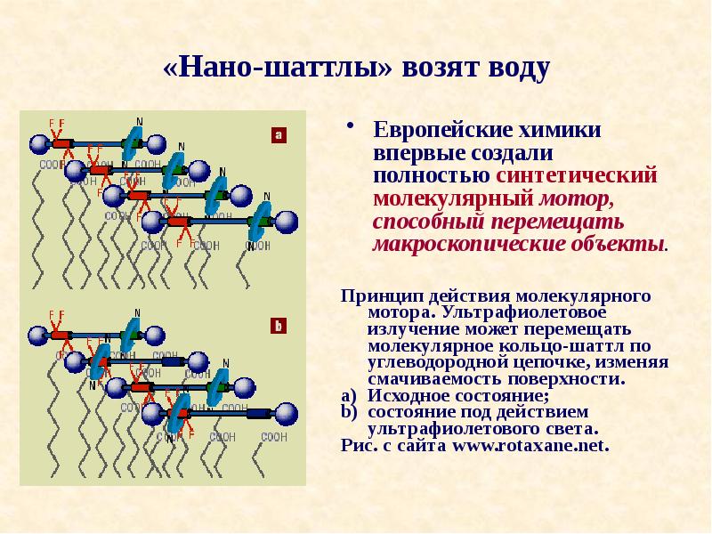 Молекулярные действия. Молекулярные моторы. Молекулярные моторы биология. Белки молекулярные моторы. Молекулярный двигатель схема.