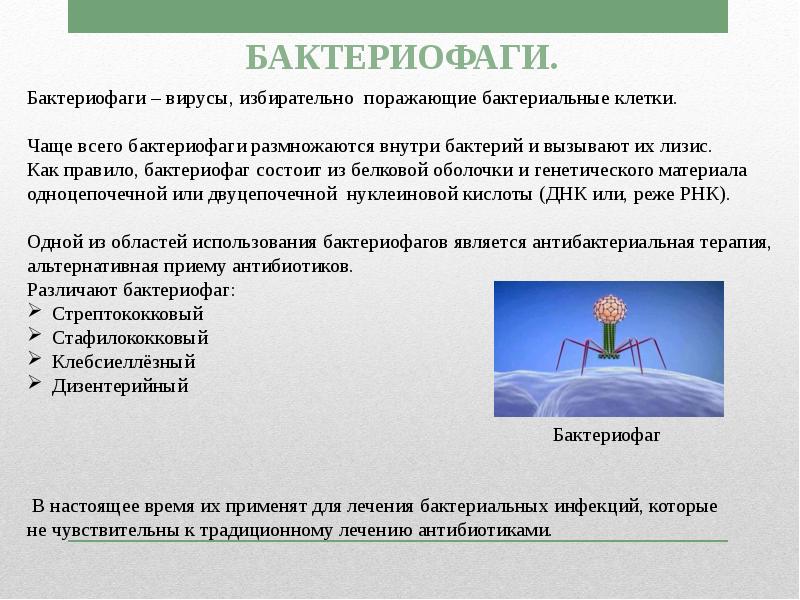 Методы микробиологической диагностики вирусных инфекций презентация