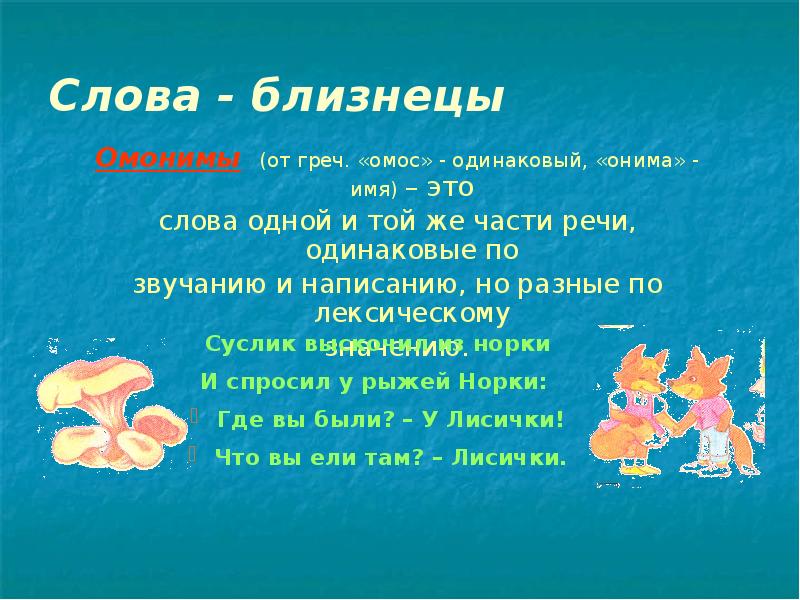 Есть слово омоним. Слова Близнецы. Омонимы Близнецы. Слова Близнецы в предложениях. Слова Близнецы в русском.