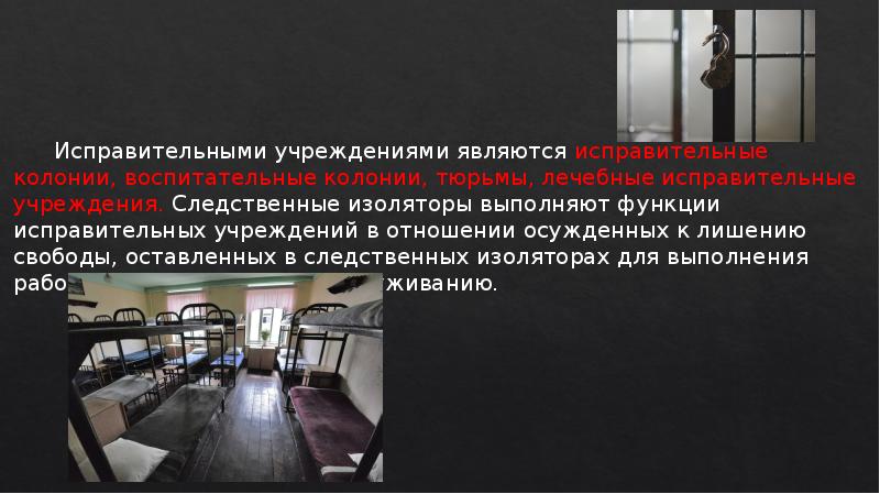 Презентация пожизненное лишение свободы