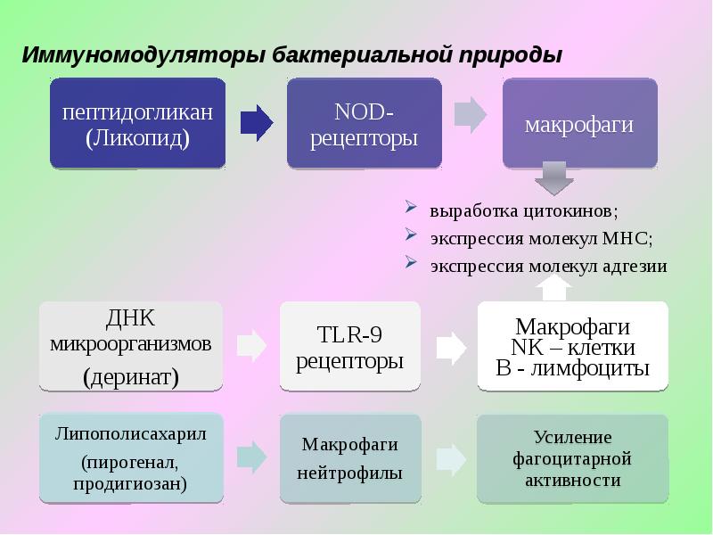 Иммунотерапия и иммунопрофилактика презентация