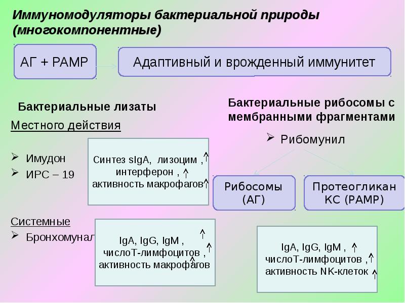 Иммунотерапия и иммунопрофилактика презентация