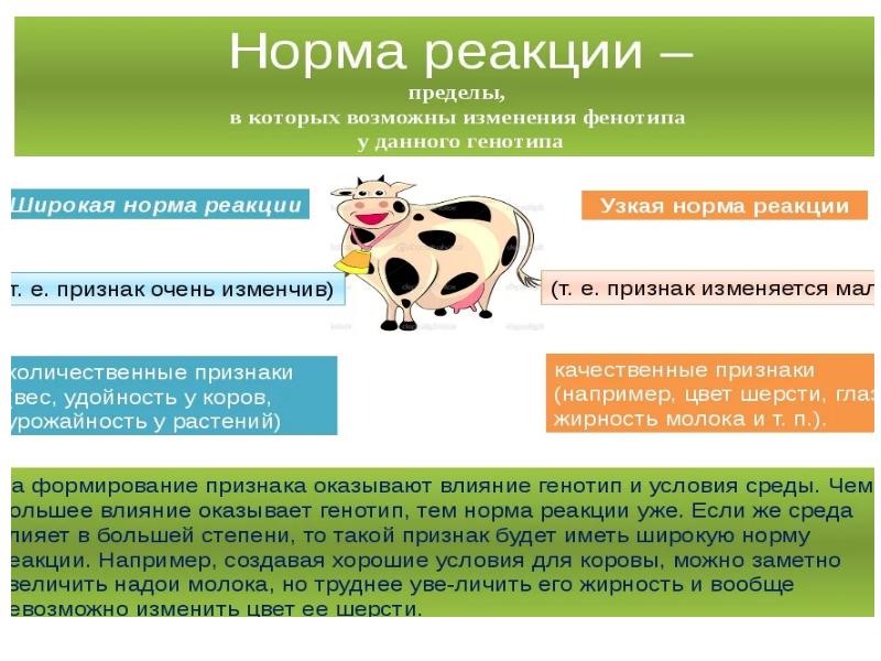 Признаки б. Воздействие среды на систему корова.