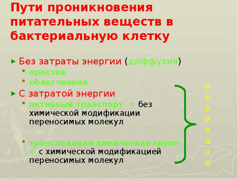 Пути проникновения. Пути проникновения питательных веществ в клетку. Пути проникновения питательных веществ в бактериальную клетку. Механизмы проникновения питательных веществ в бактериальную клетку. Транспорт питательных веществ в бактериальную клетку.