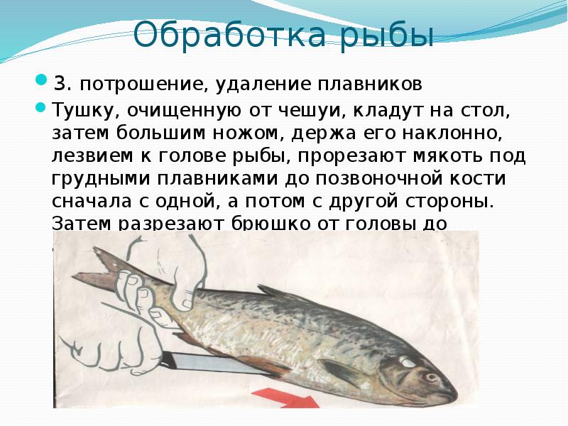 Тест обработка рыбы