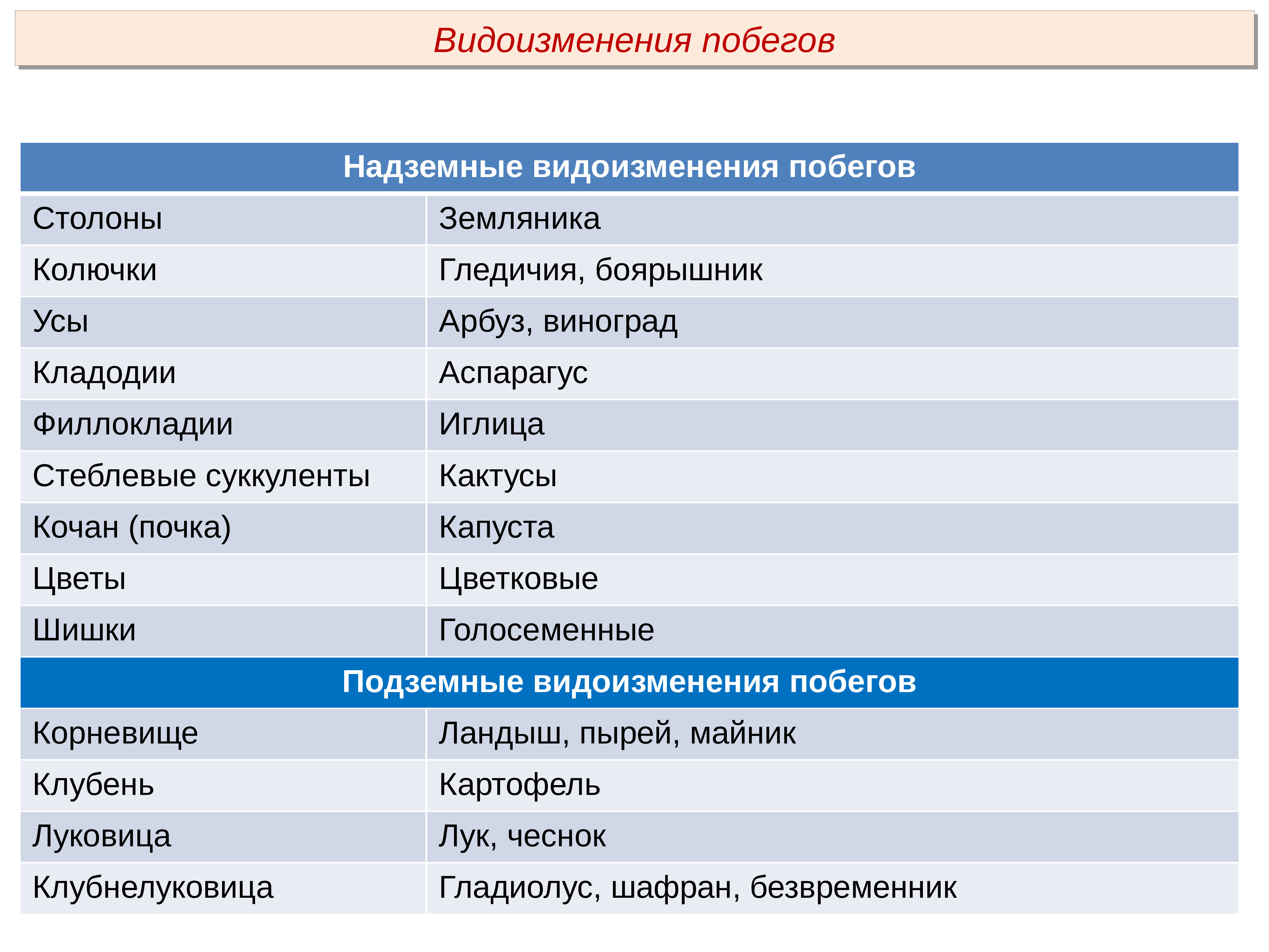 Пименов побег презентация