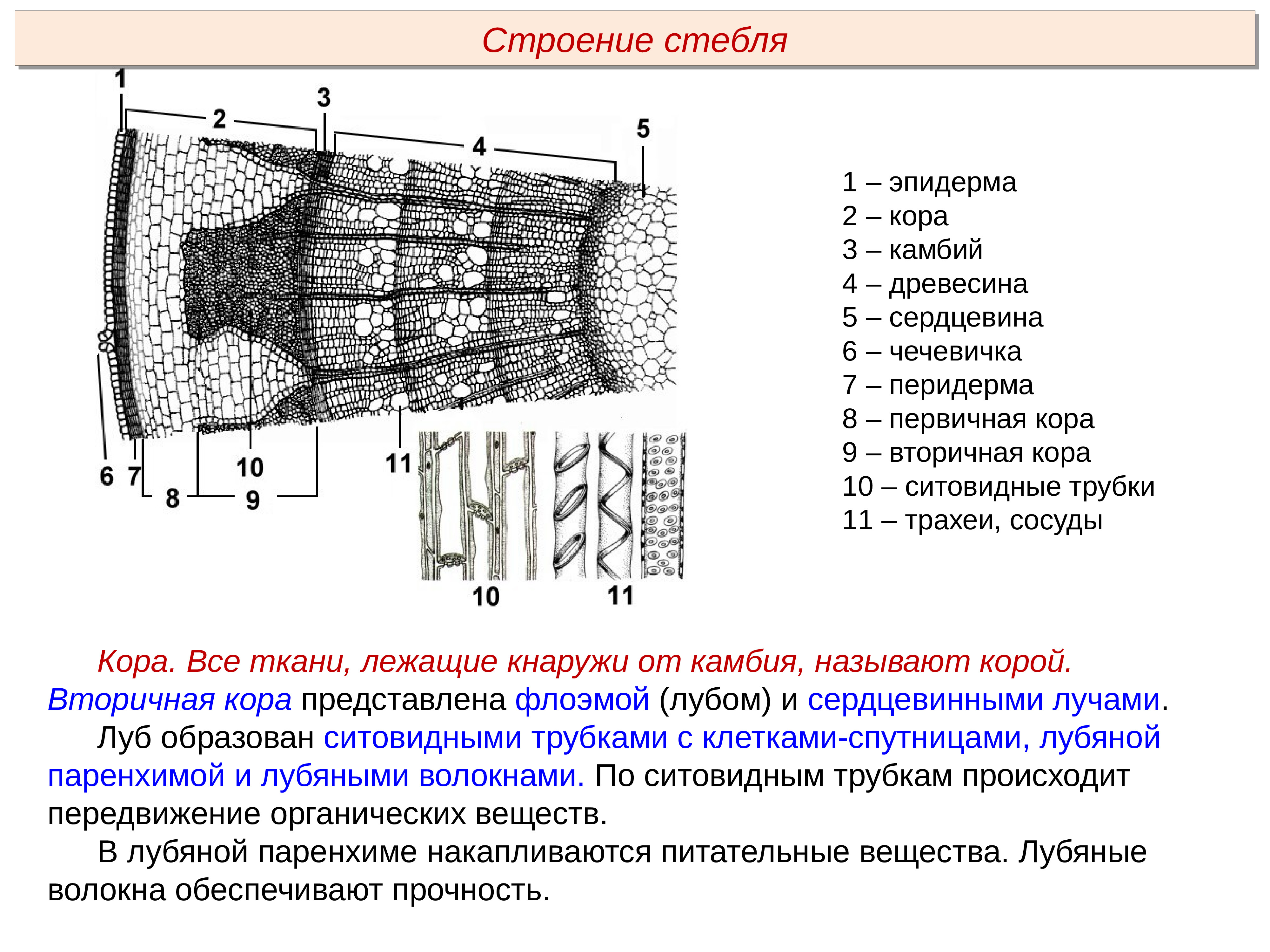 Пименов побег презентация