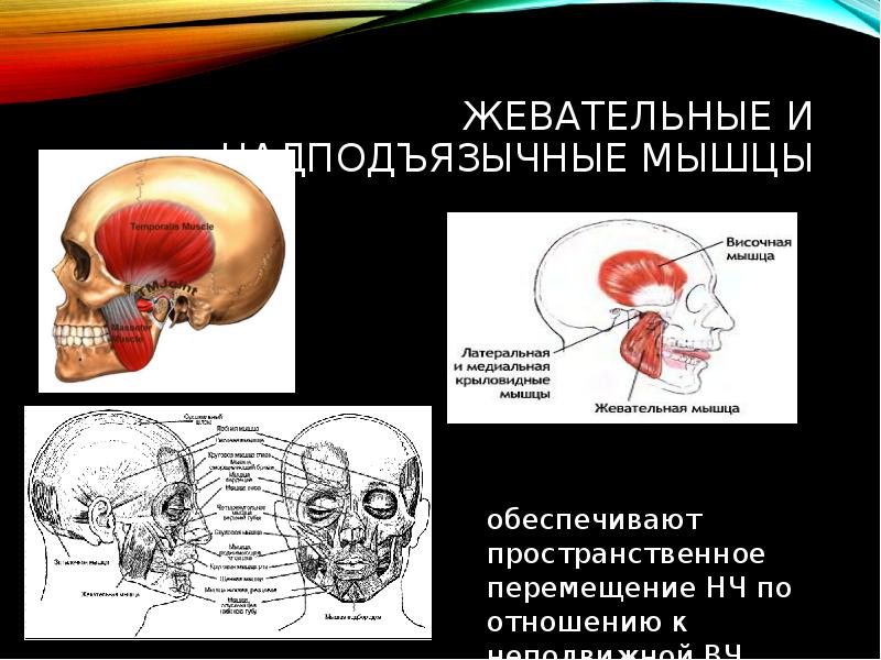 Клинический случай по ортопедической стоматологии презентация