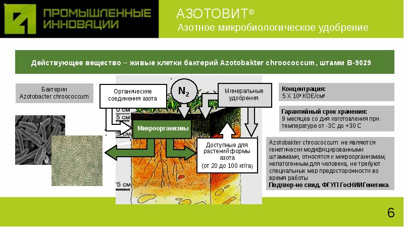 Бактериальные удобрения презентация