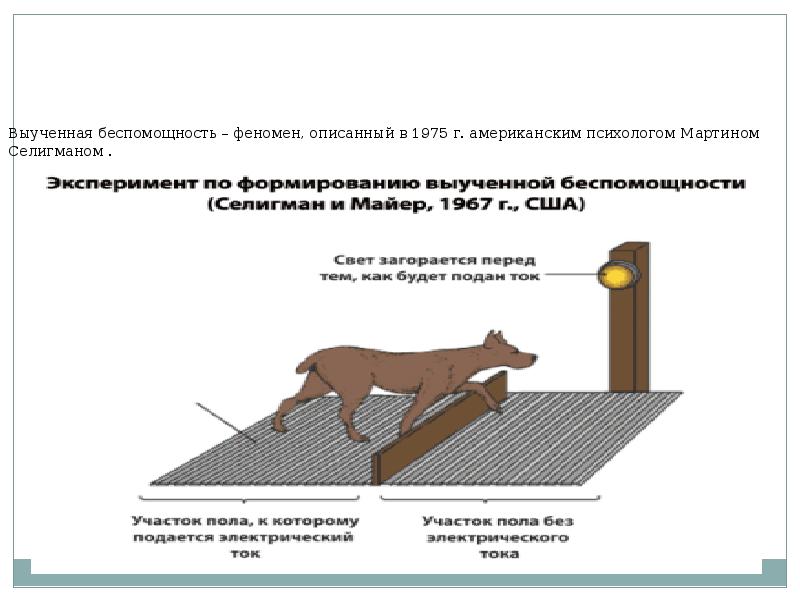 Синдром выученной беспомощности презентация