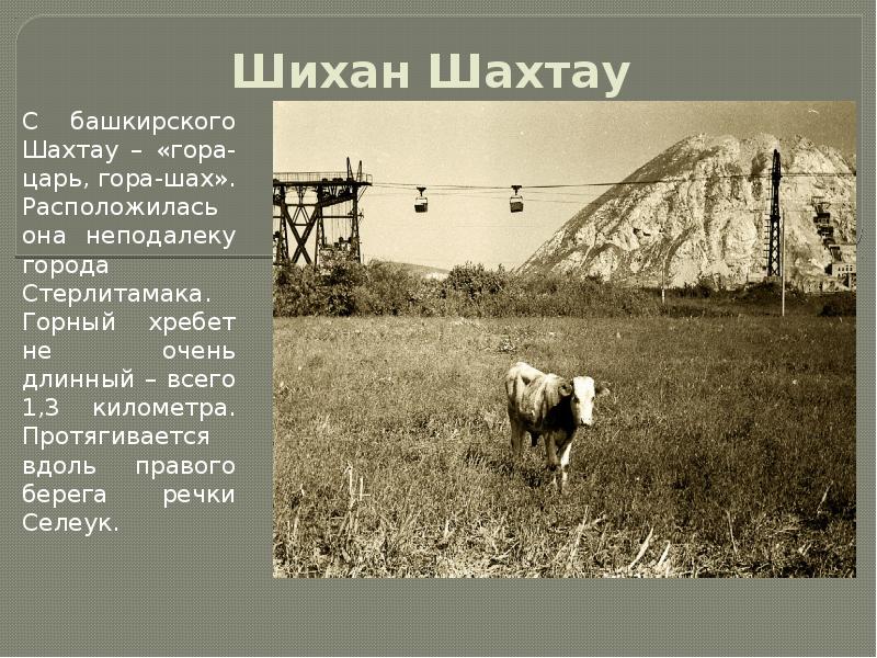 Как переводится горе. Шиханы Стерлитамак Шахтау. Шиханы в Башкортостане Шахтау. Шах Тау гора. Гора Шахтау доклад.