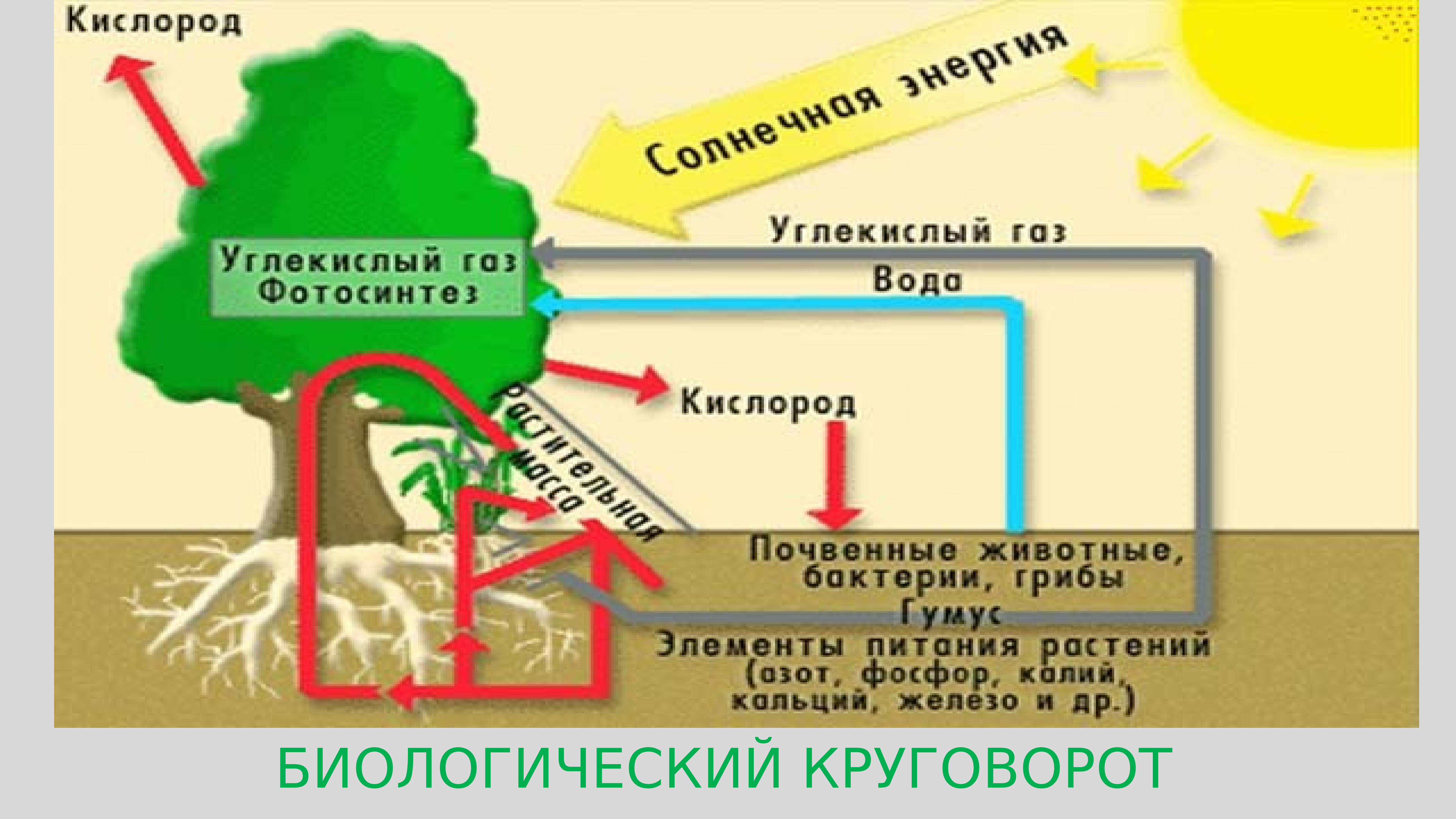 Особенности географической оболочки. Свойства географической оболочки. Географическая оболочка таблица. Строение и свойства географической оболочки схема. Таблица по географии географическая оболочка.