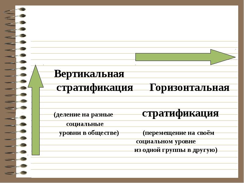 Деление общества на группы это