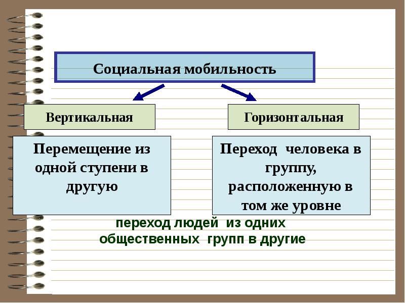 Социальная структура план