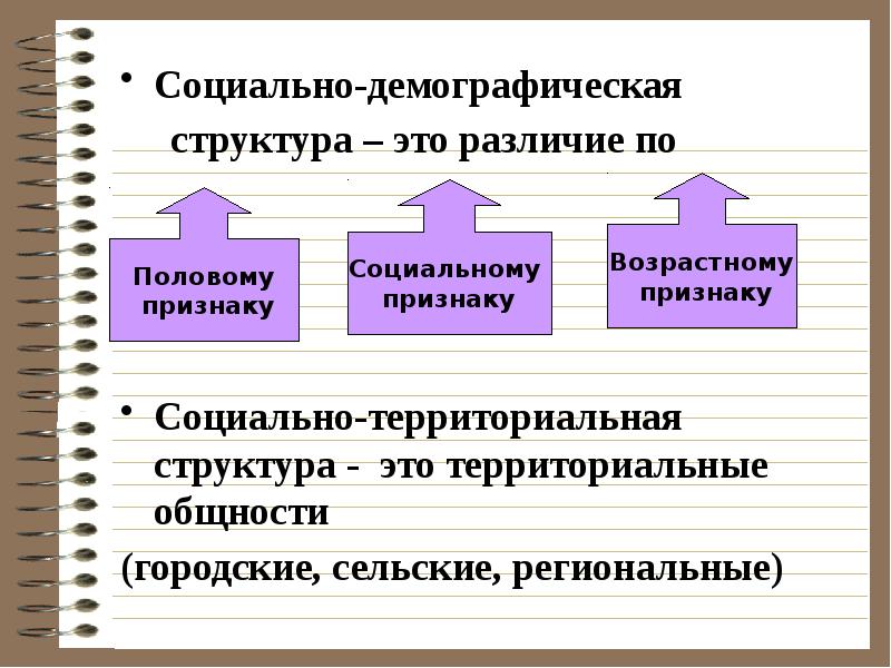 Презентация социальная структура и социальные отношения