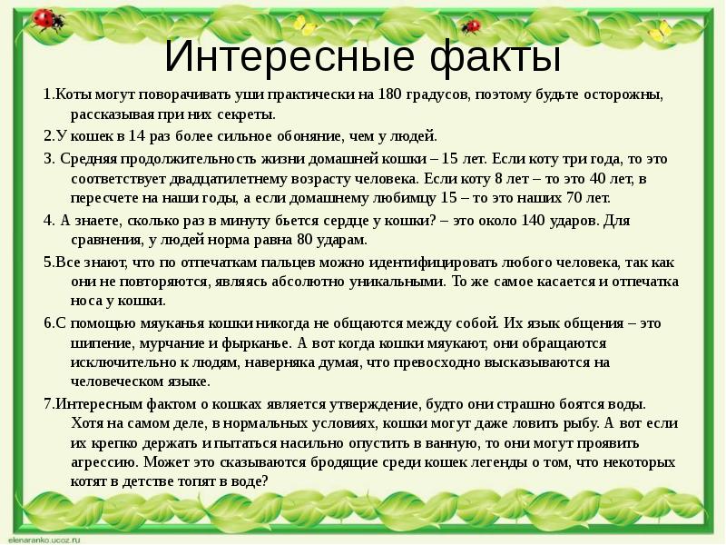 Сочинение описание 5 класс по русскому языку презентация