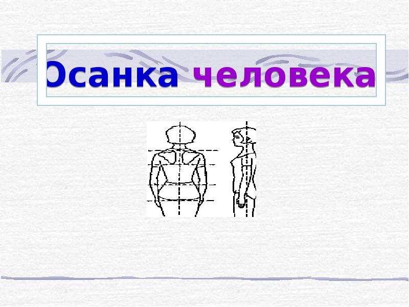 Презентация человек человека 4 класс. Презентация на тему осанка человека. Осанка человека 8 класс. Строение осанки человека. Осанка человека 3 класс окружающий мир.