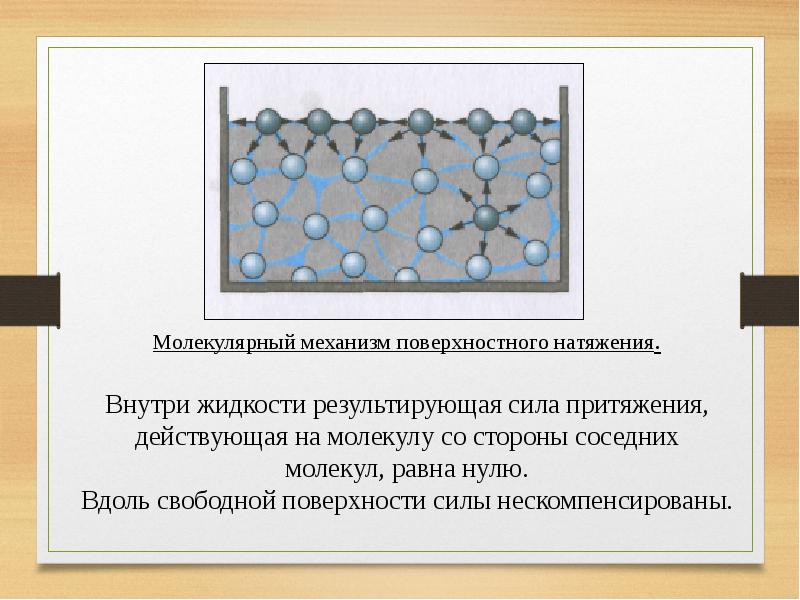 Свойства жидкости поверхностное натяжение 10 класс презентация