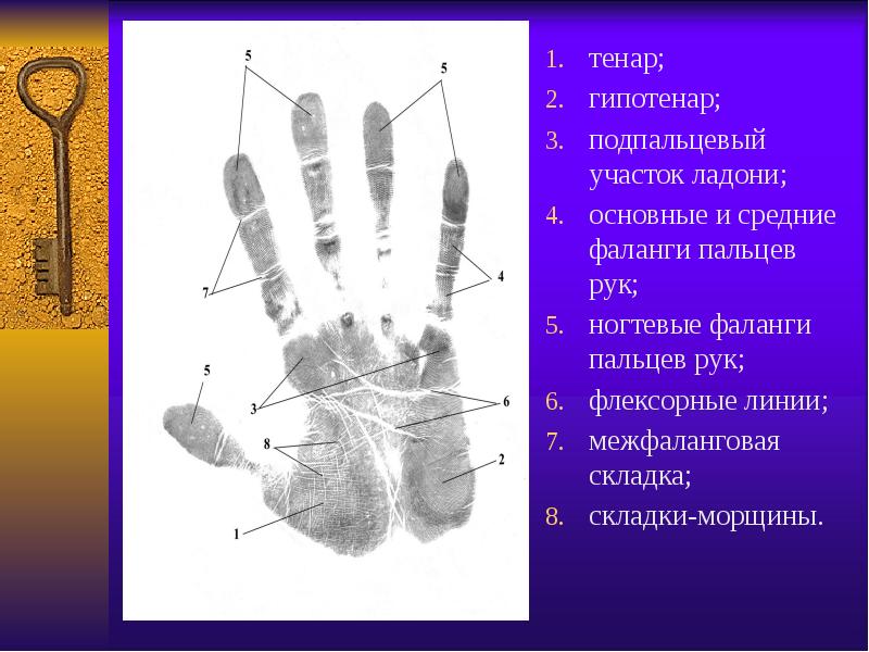 Трасология по фото законно или нет