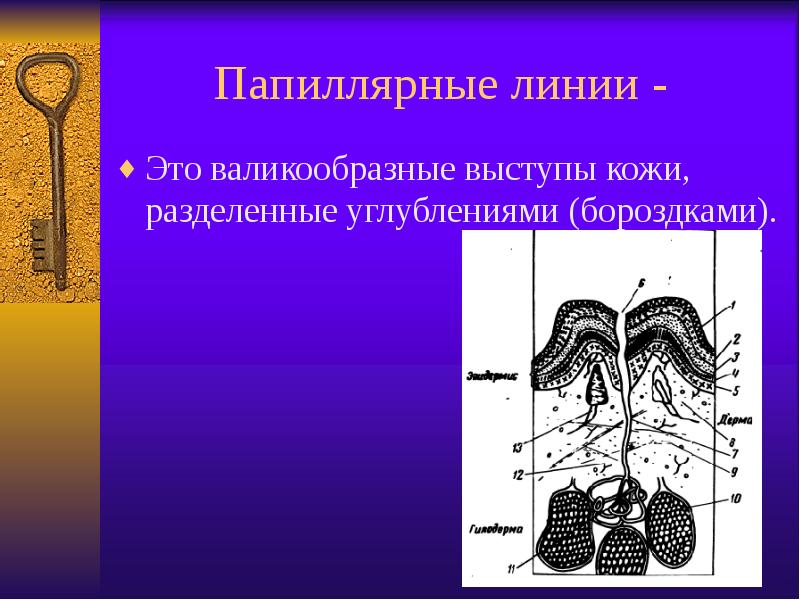 Трасология по фото законно или нет